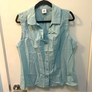 Blue Cabi Blouse…Shiver Top